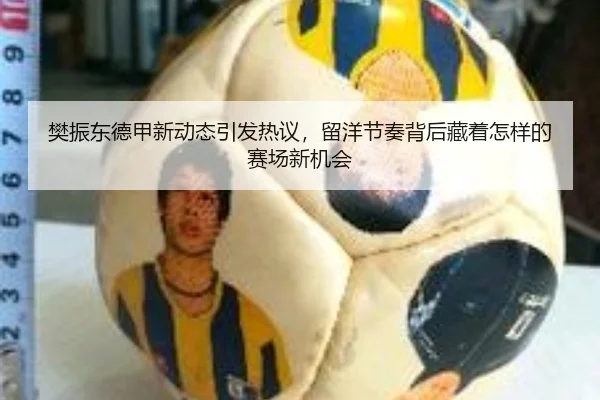 樊振东德甲新动态引发热议，留洋节奏背后藏着怎样的赛场新机会 | maiqiuwang